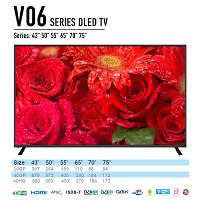 V06ϵ